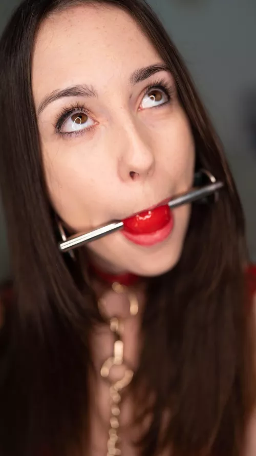 I am Looking up at you and wondering what you are going to do next with me.