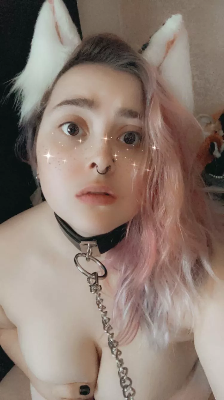 I promise to be a good pet