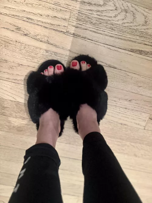 I want them licked so bad right now