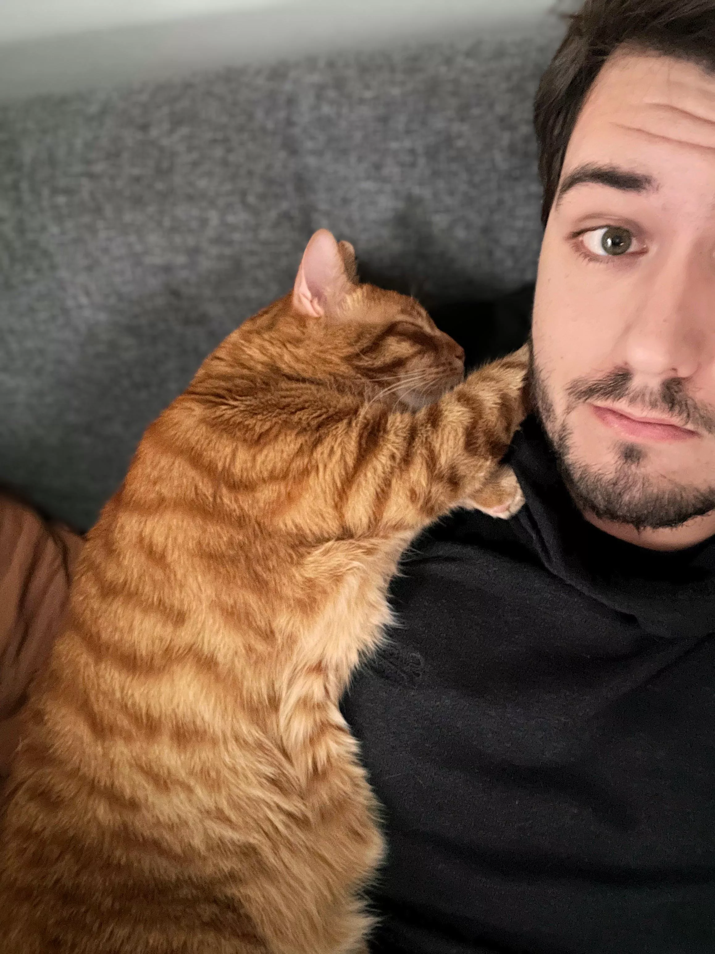 I’m trapped under a cat! Send help!