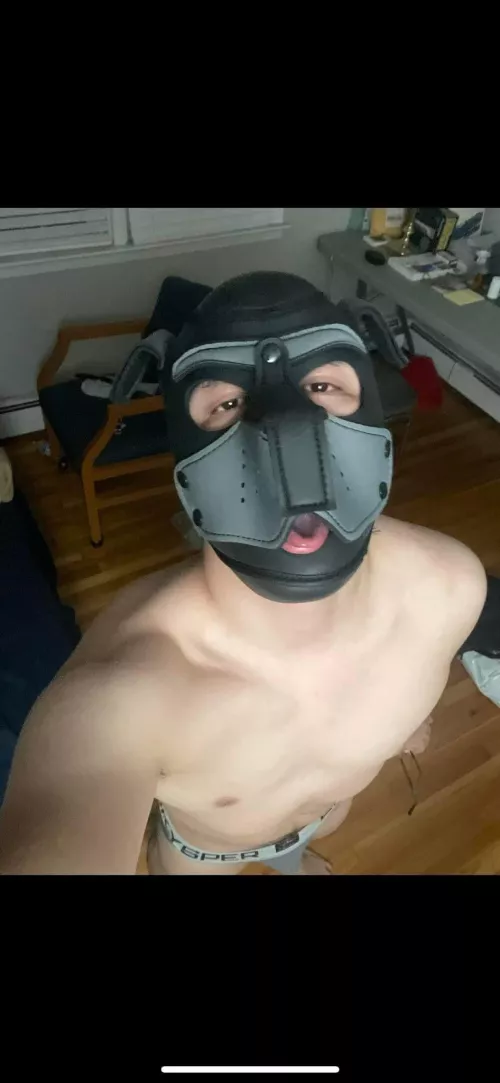 It’s a horned up pup, woof