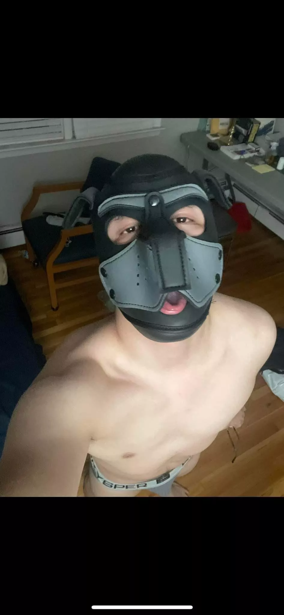 It’s a horned up pup, woof