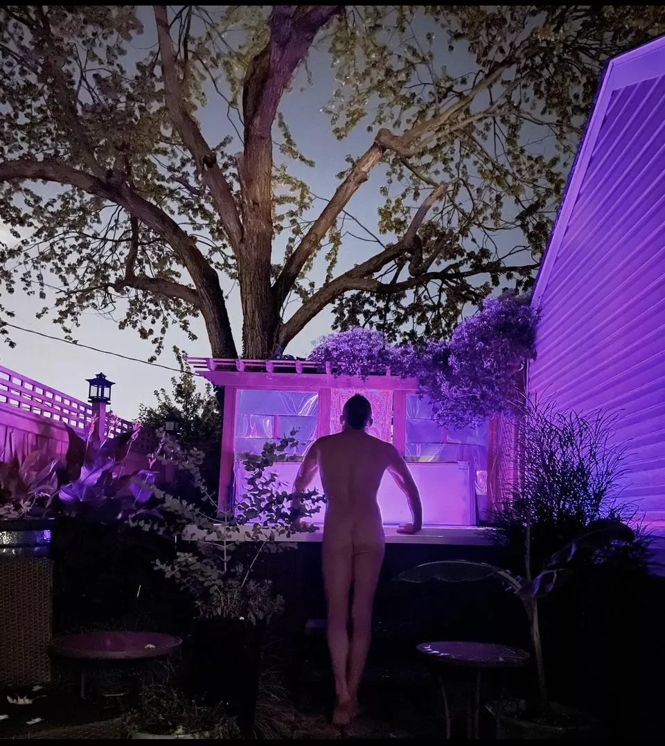 Just a little adventure in my backyard