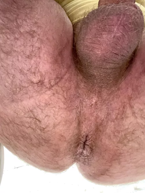Lick the sweat off daddy’s hairy asshole