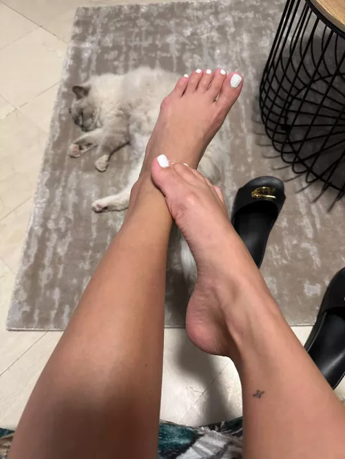 Like this ONLY if you’d eat my feet