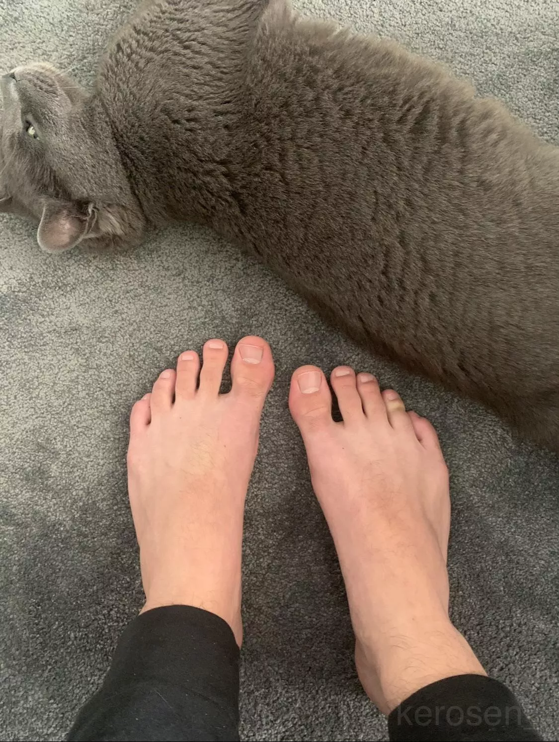 Looks like Don isn’t into my smelly feet