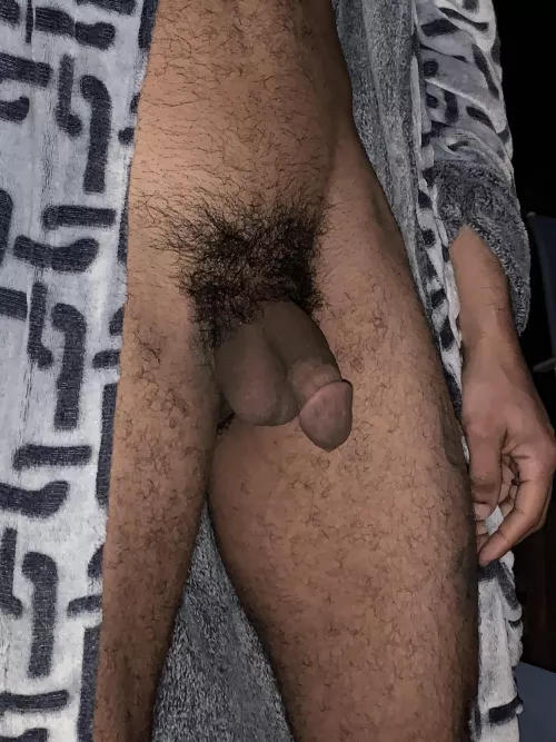 My hairy cock