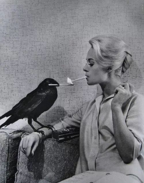 Old School Smoking. Tippi Hedren's cigarette lit by a crow on the set of The Birds, 1963.