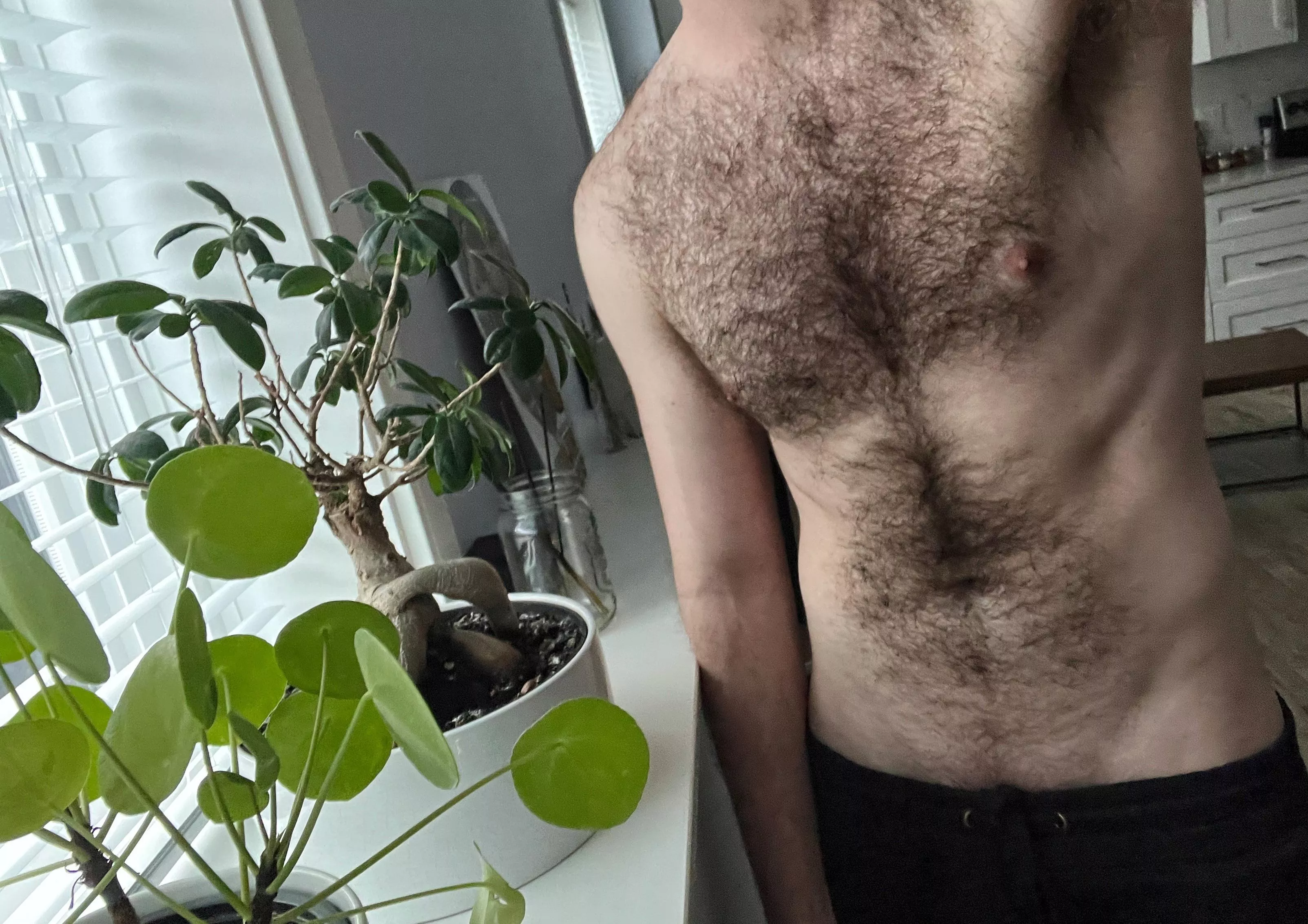 Otter in his habitat 🦦