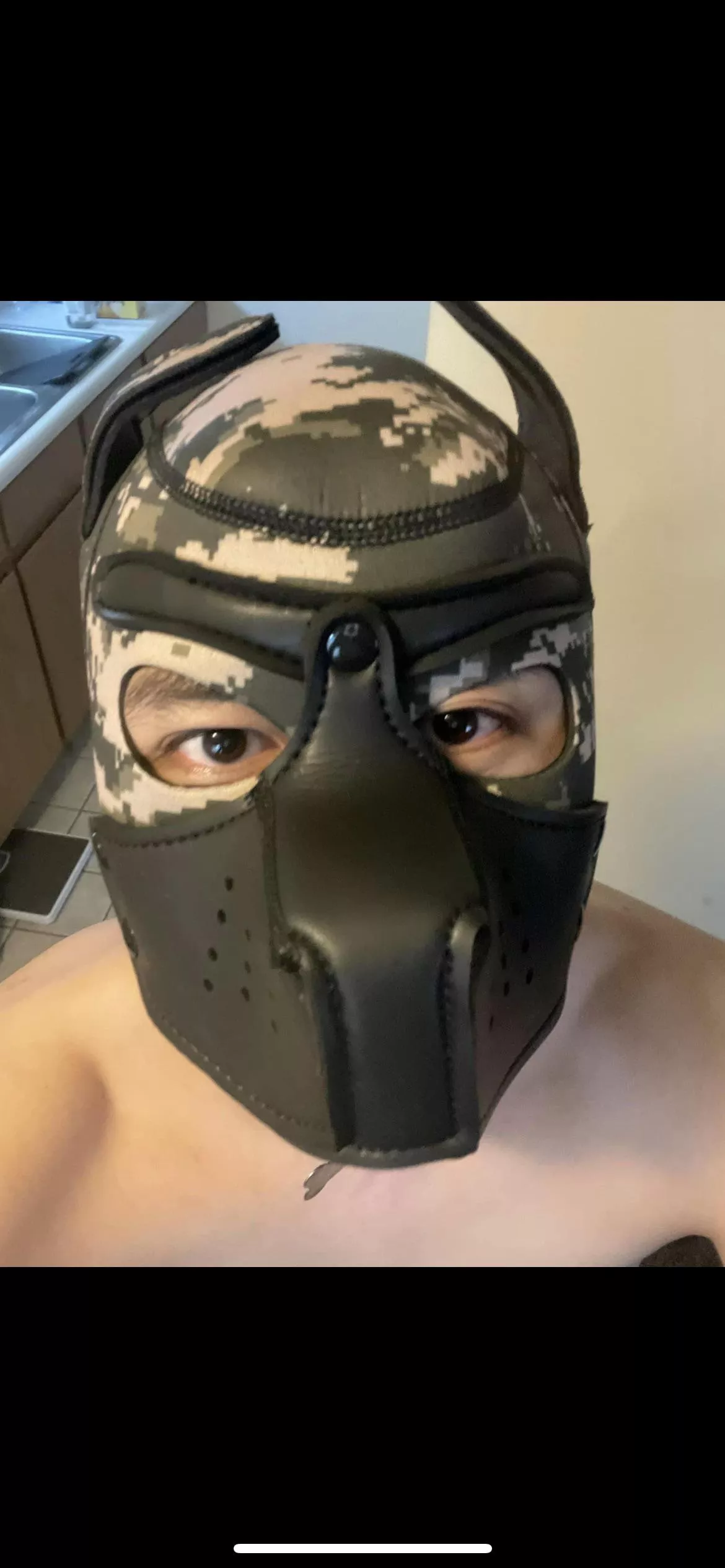 Pup wanna play catch arf