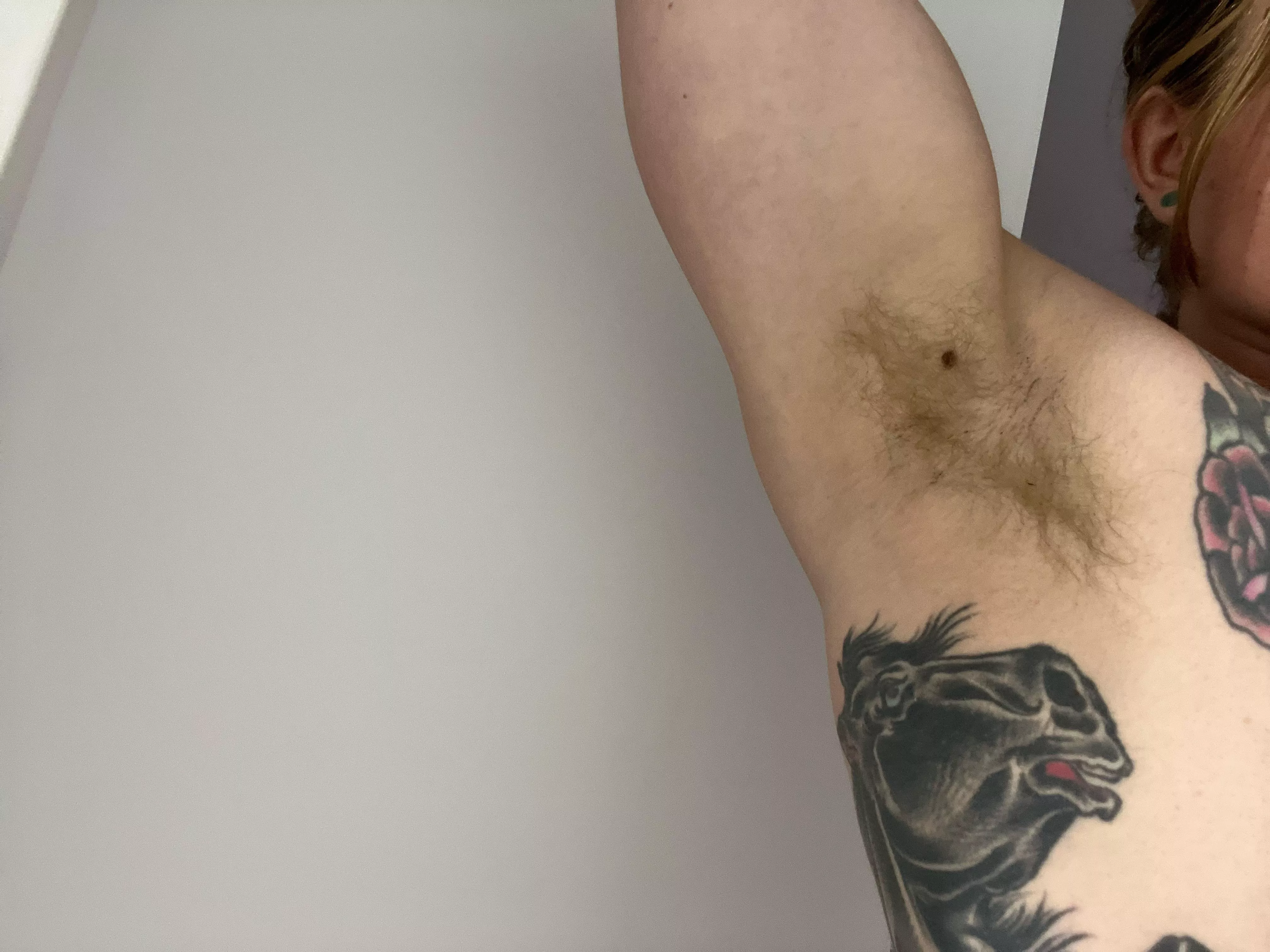 Ripe for the summer.