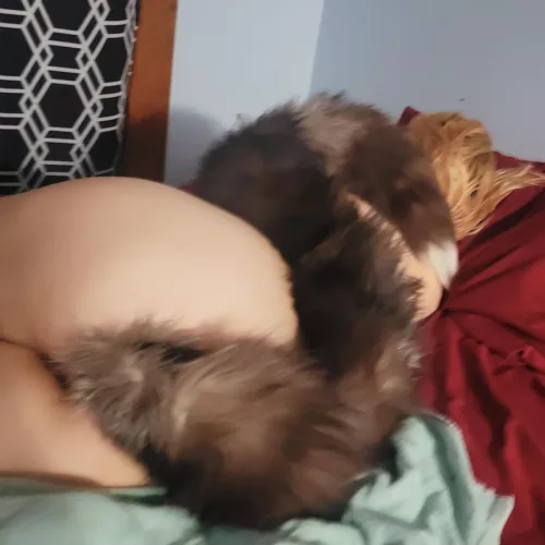 Should he choke me with this tail?