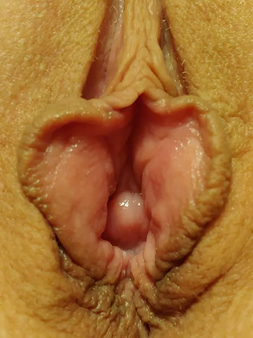 Small milf pussy that loves getting stretched by huge bull cocks