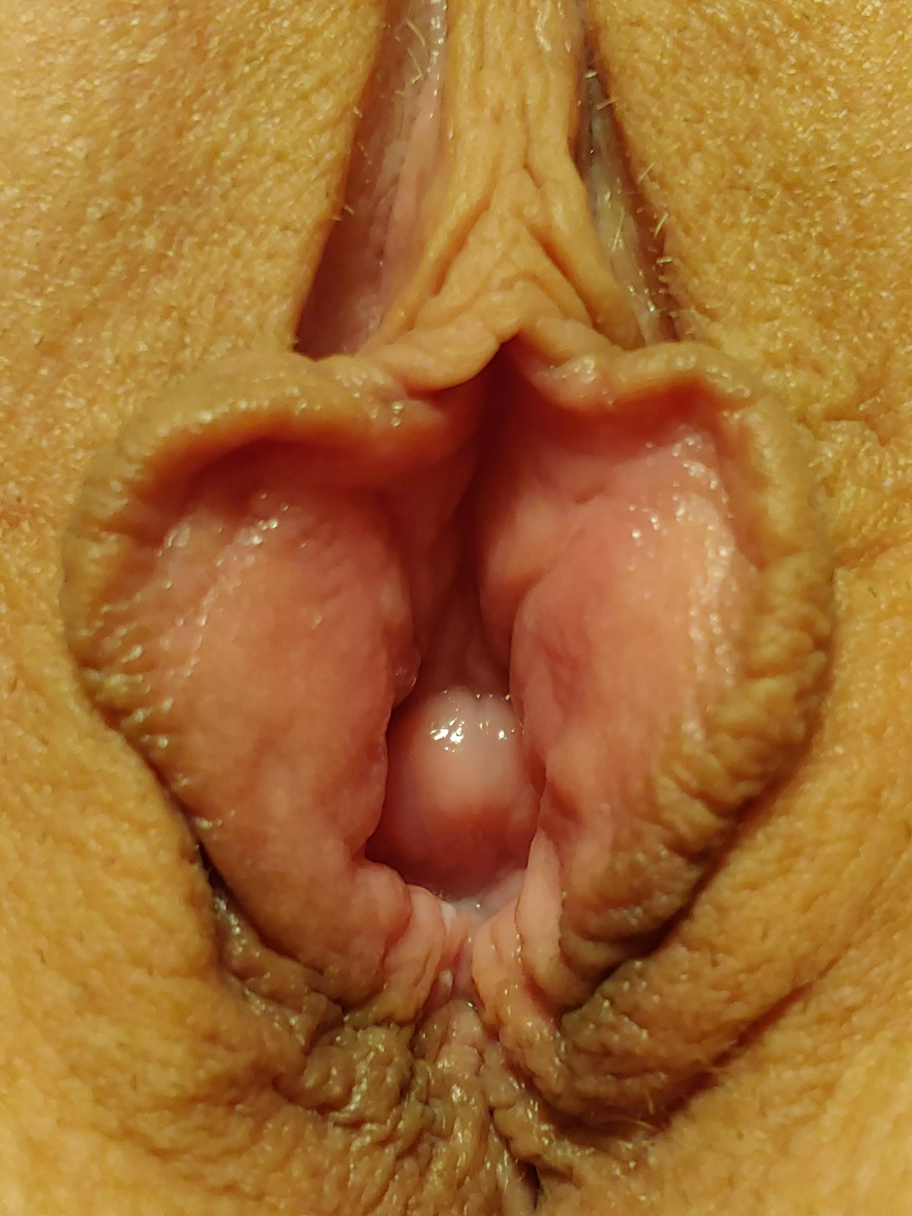 Small milf pussy that loves getting stretched by huge bull cocks