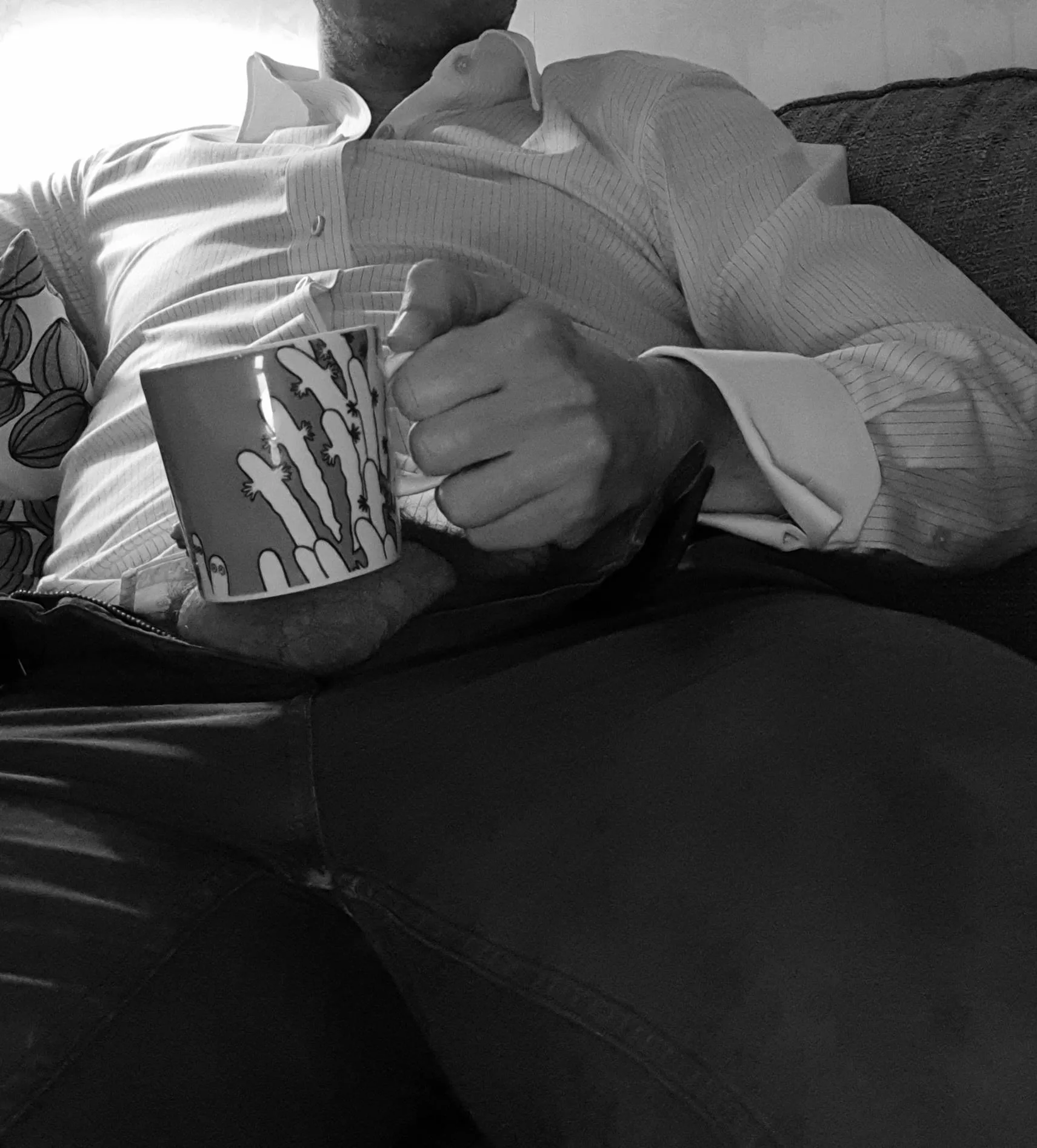 The day tend to start and end on the couch....identify the motif on my mug and you are my soulmate