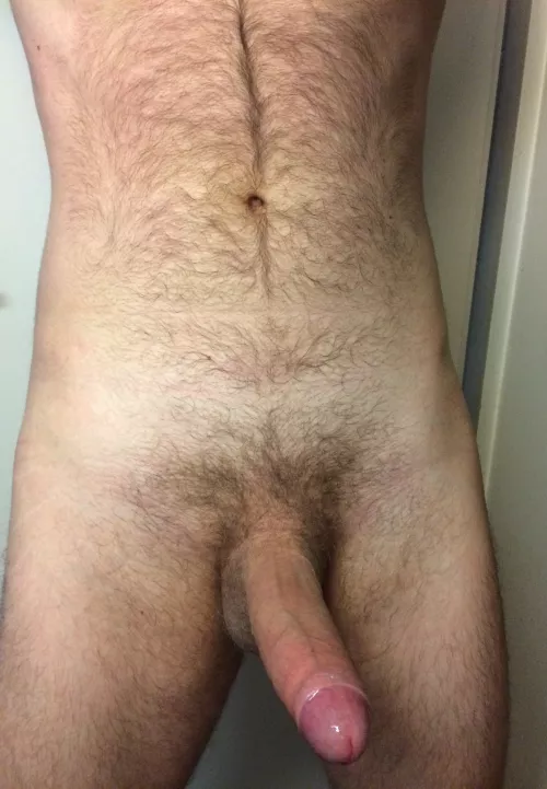 This is what I have to offer