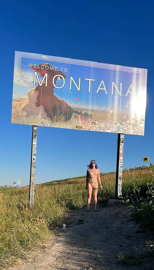 Which state should I do next!?