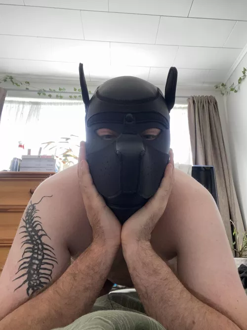 Woof! How’re you pups doing?