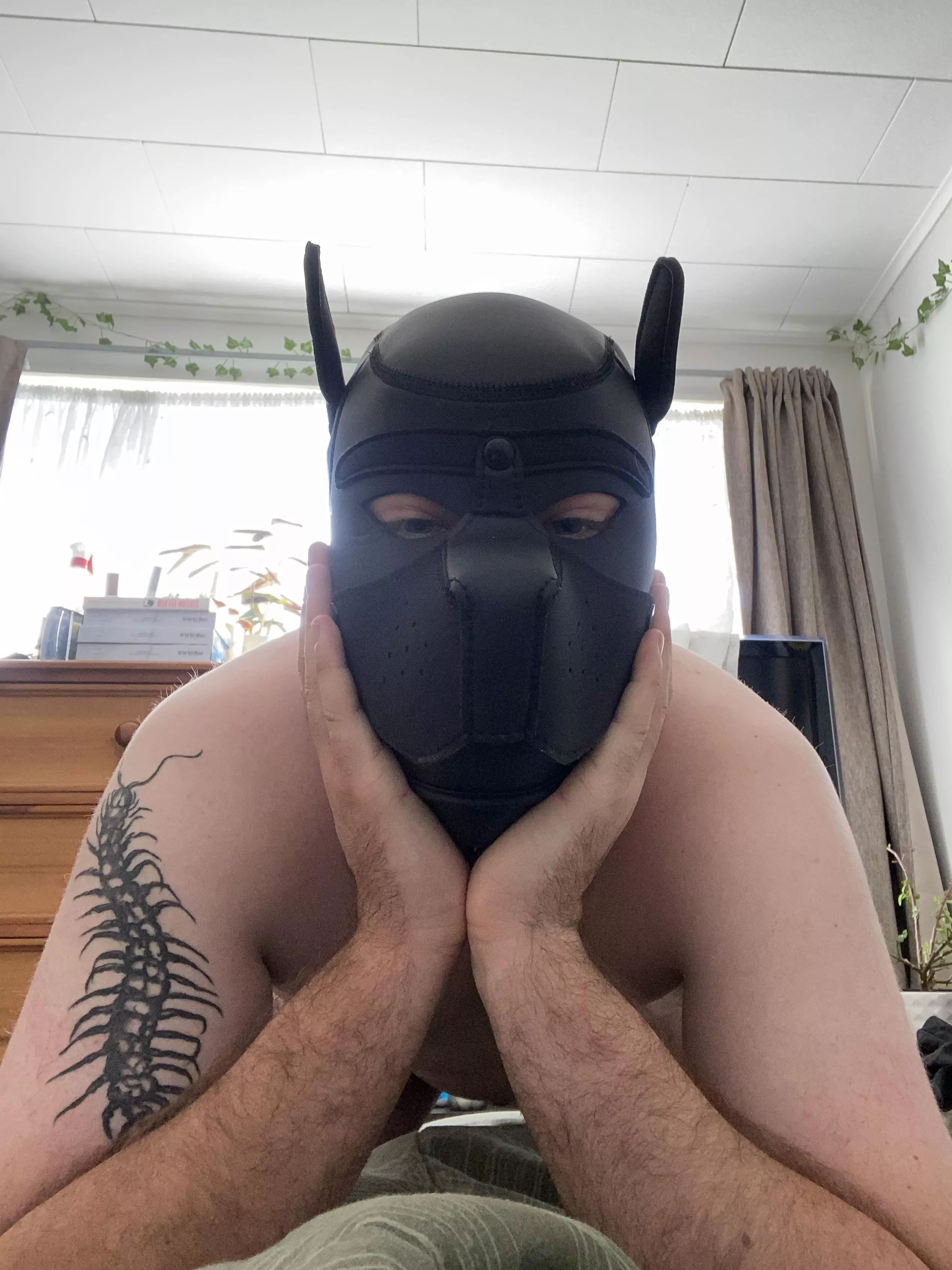 Woof! How’re you pups doing?
