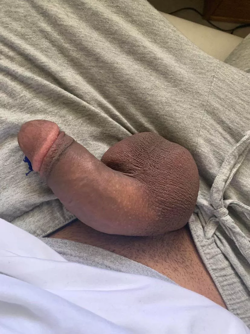 Would you like to touch it?