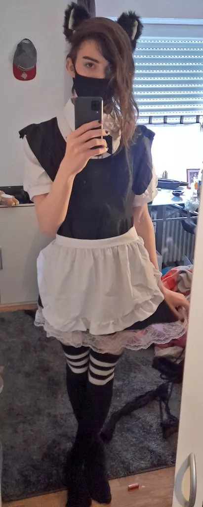 anyone need a maid to help them today ^~^