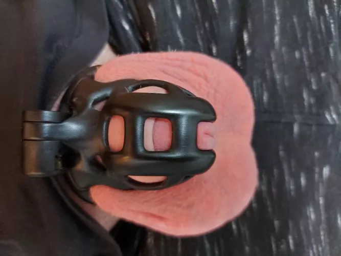 back to this friend as the other one was too tight. hoping to stay locked a long time.