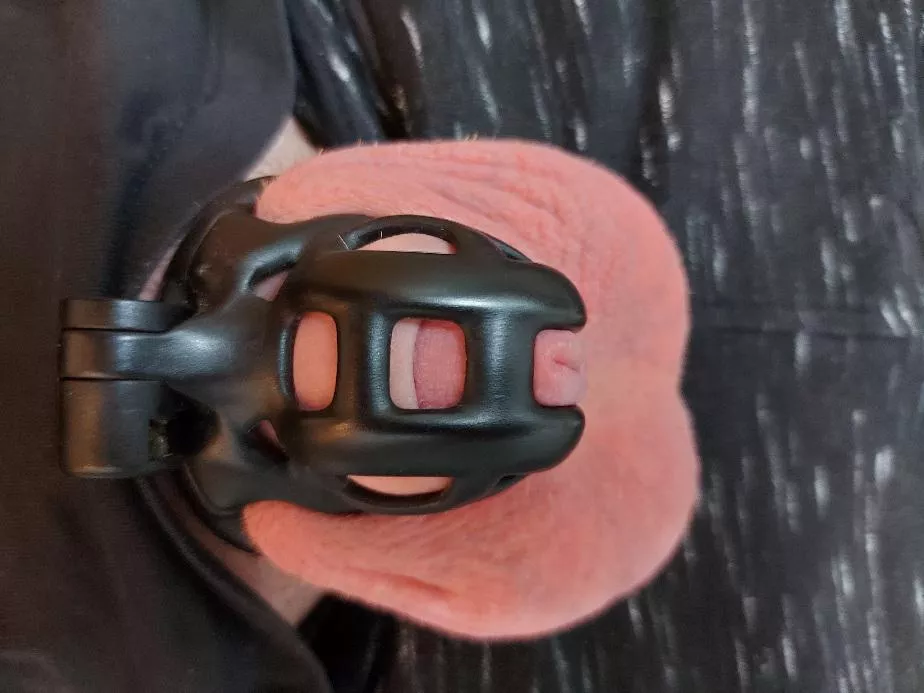 back to this friend as the other one was too tight. hoping to stay locked a long time.