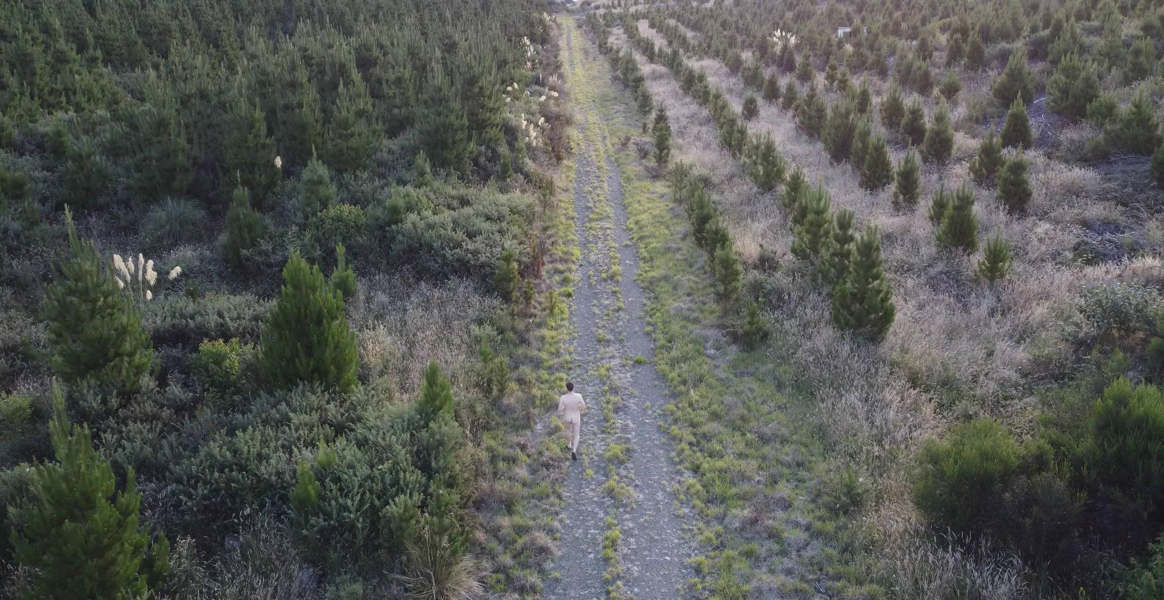 Best way for a little walk