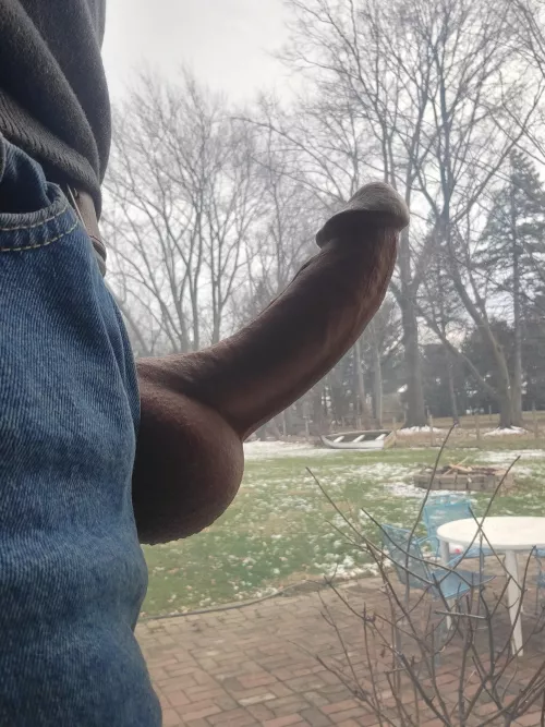 Buckeye Wood ~ The snow melted. (60)