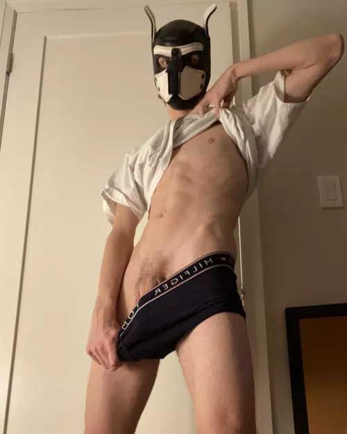 Cmon pups dig up this bone