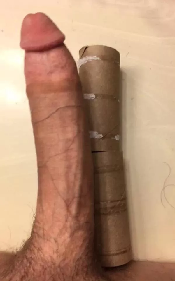 cock against 2 tp rolls