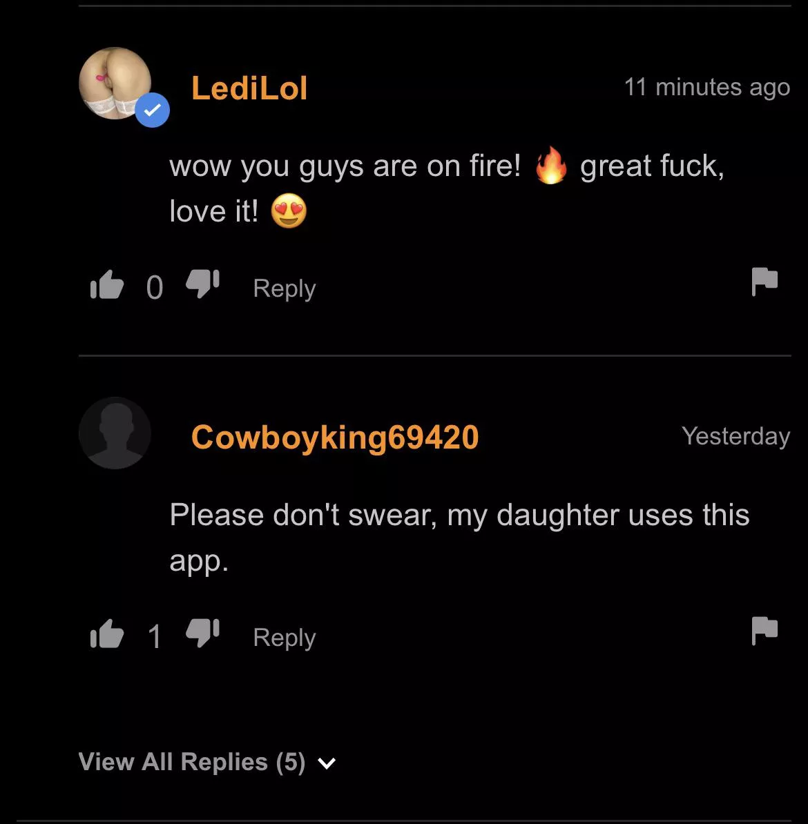 Don’t swear in front of the children