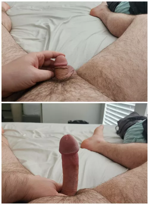 From pretty damn small to average. Wish it was just a bit bigger when soft