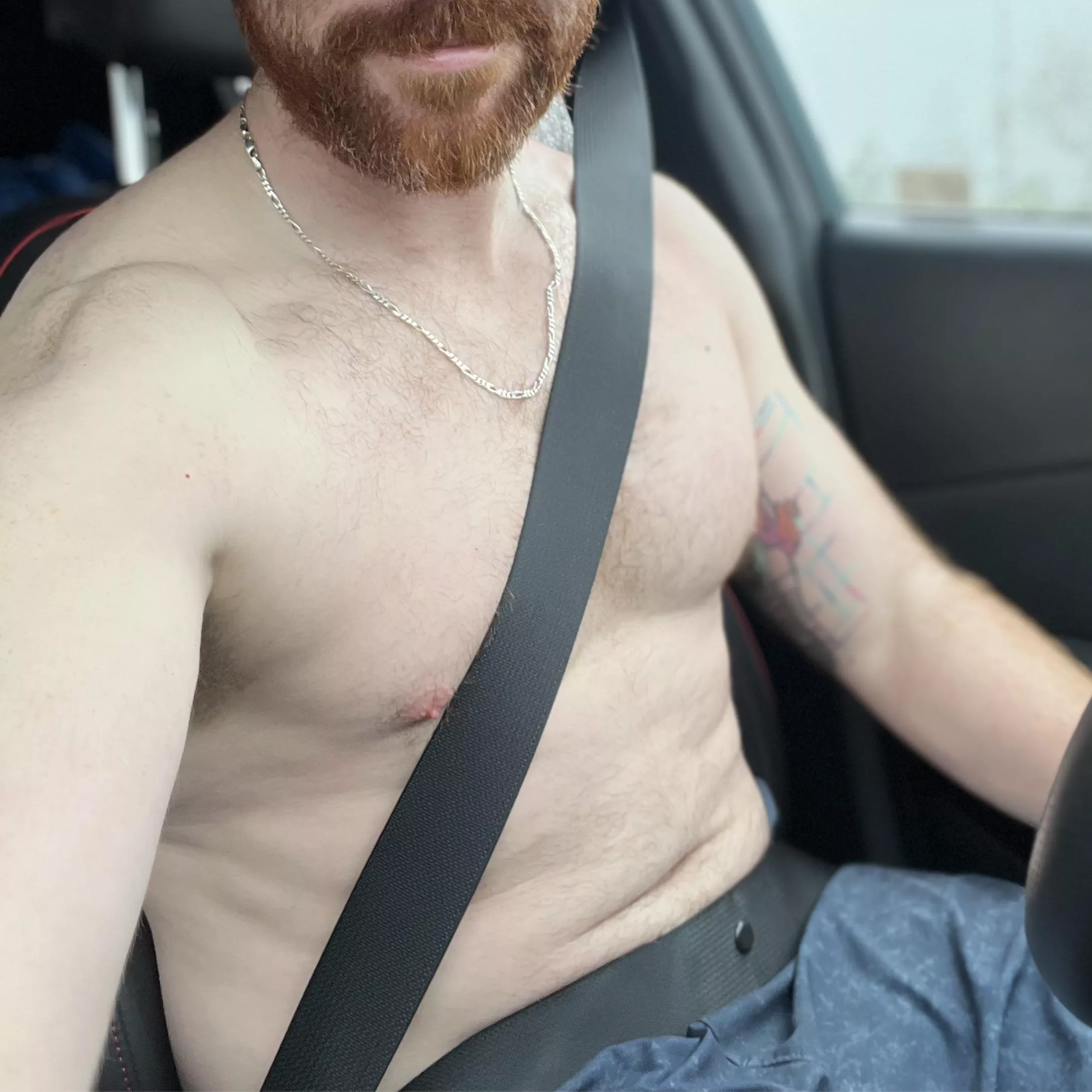 Ginger, and wet from training this morning. Driving shirtless
