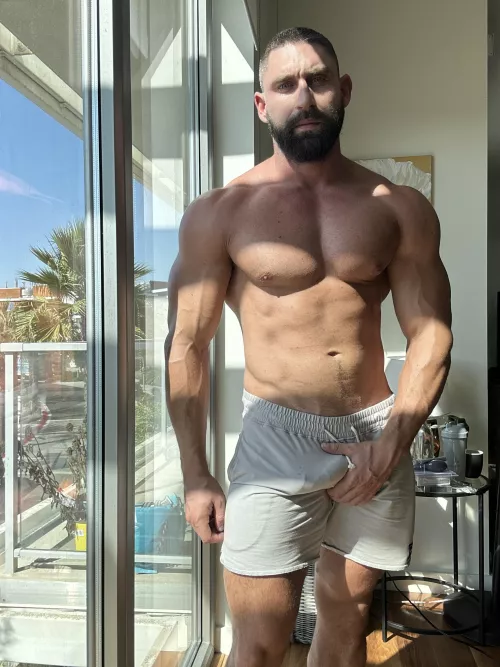 Grey shorts?