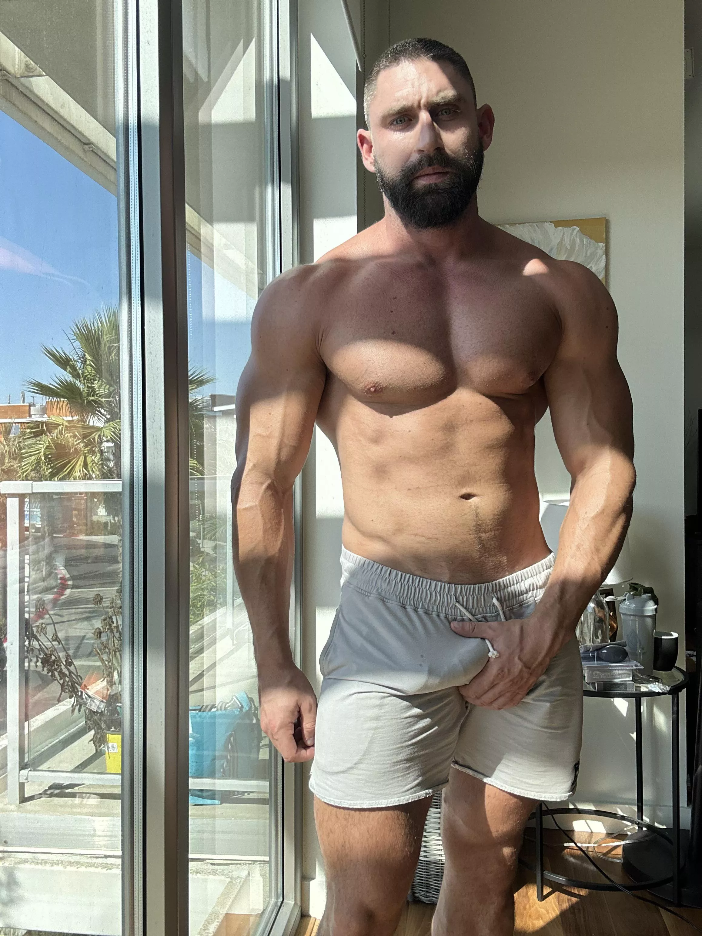 Grey shorts?