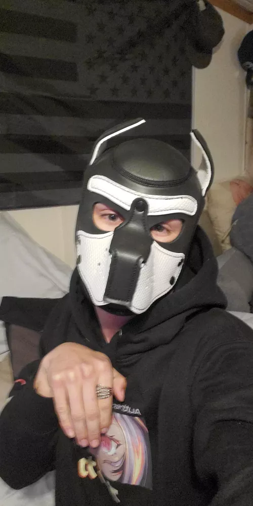 Hope everyone has a great day today!!! Woof woof!!!