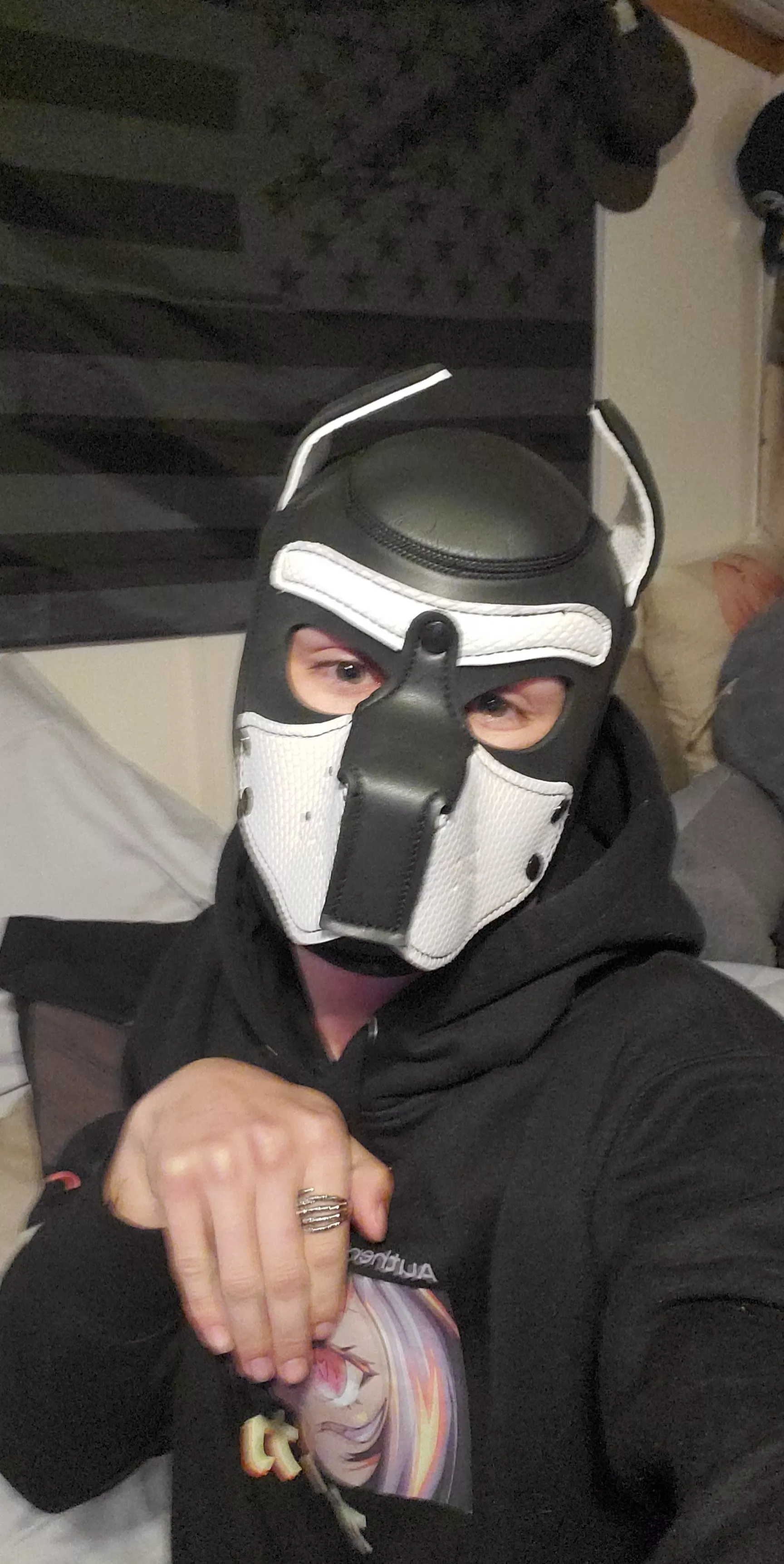 Hope everyone has a great day today!!! Woof woof!!!