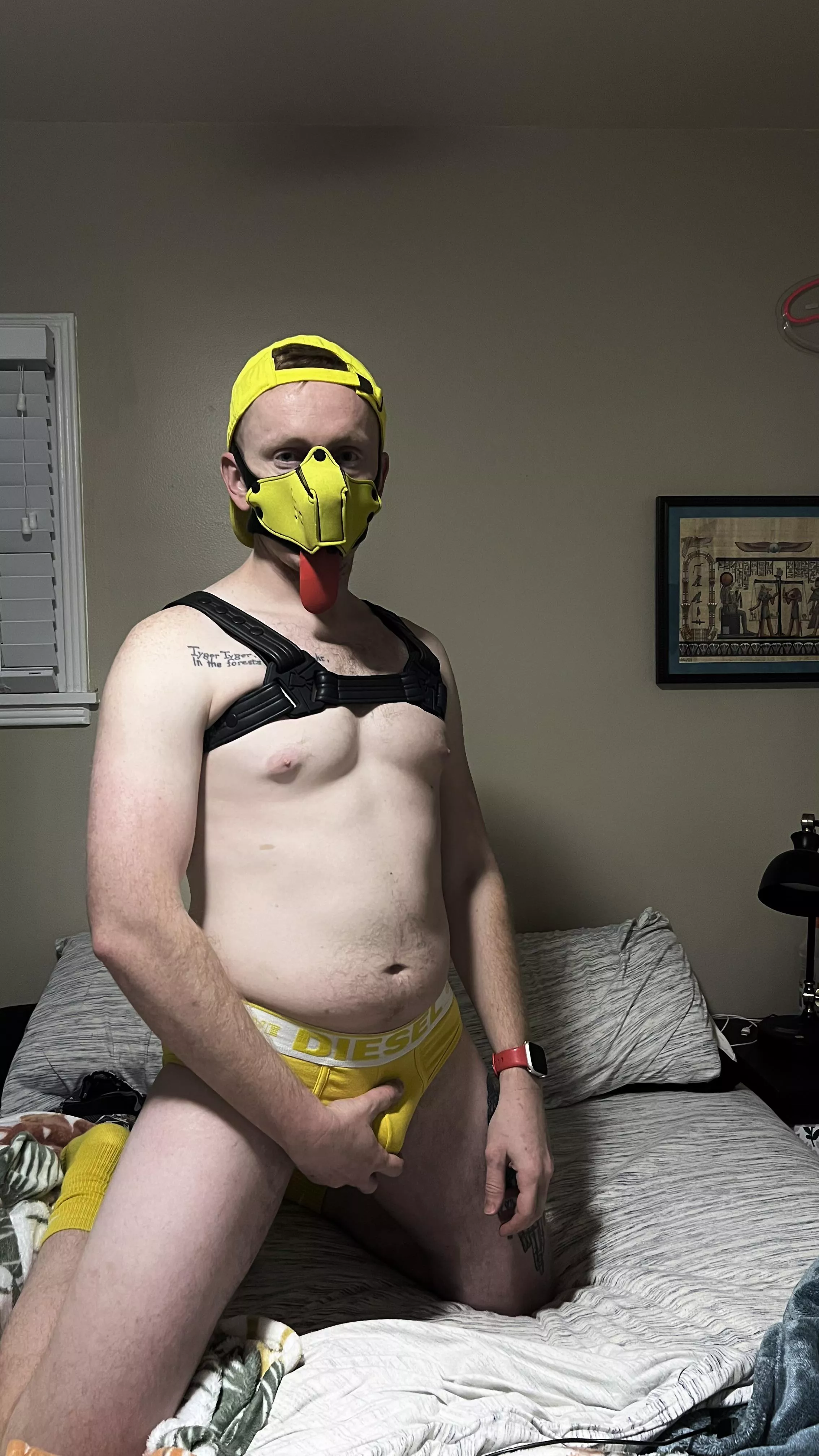 Join me in bed for a romp.