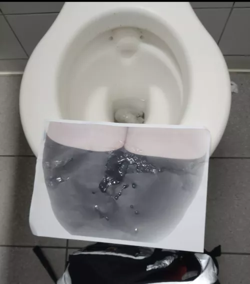 Left in a toilet