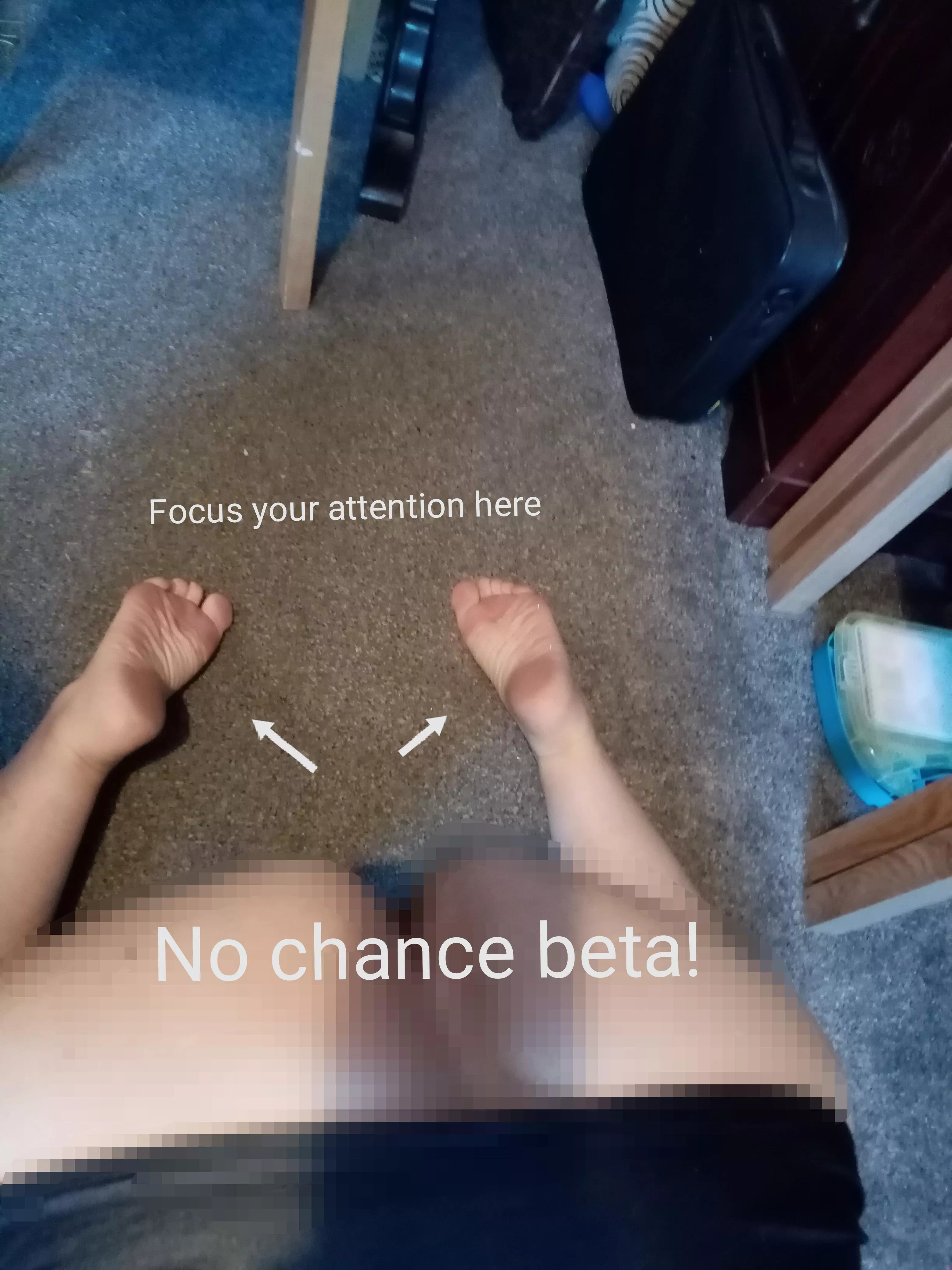 Listen up slave... Focus