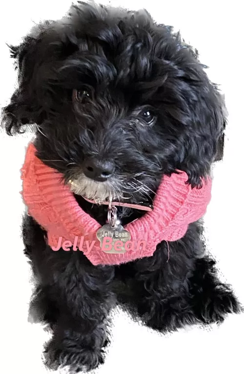 Looking for the love of my life 💕