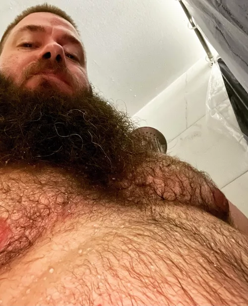 Mornin bears eyes up here