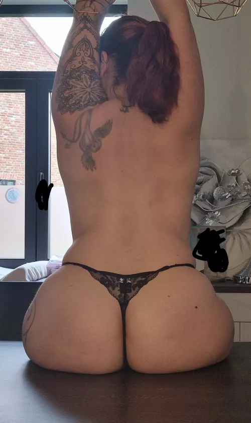 my bird knows the way [BA]