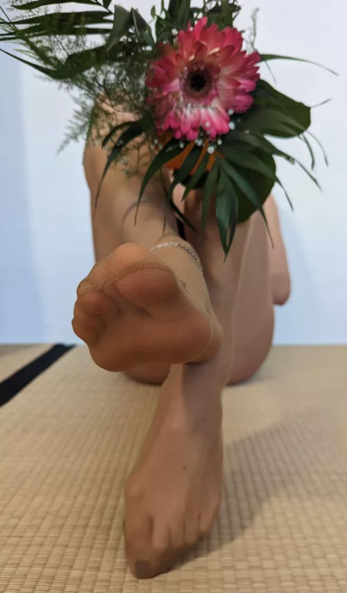 My pantyhose gift for you💞