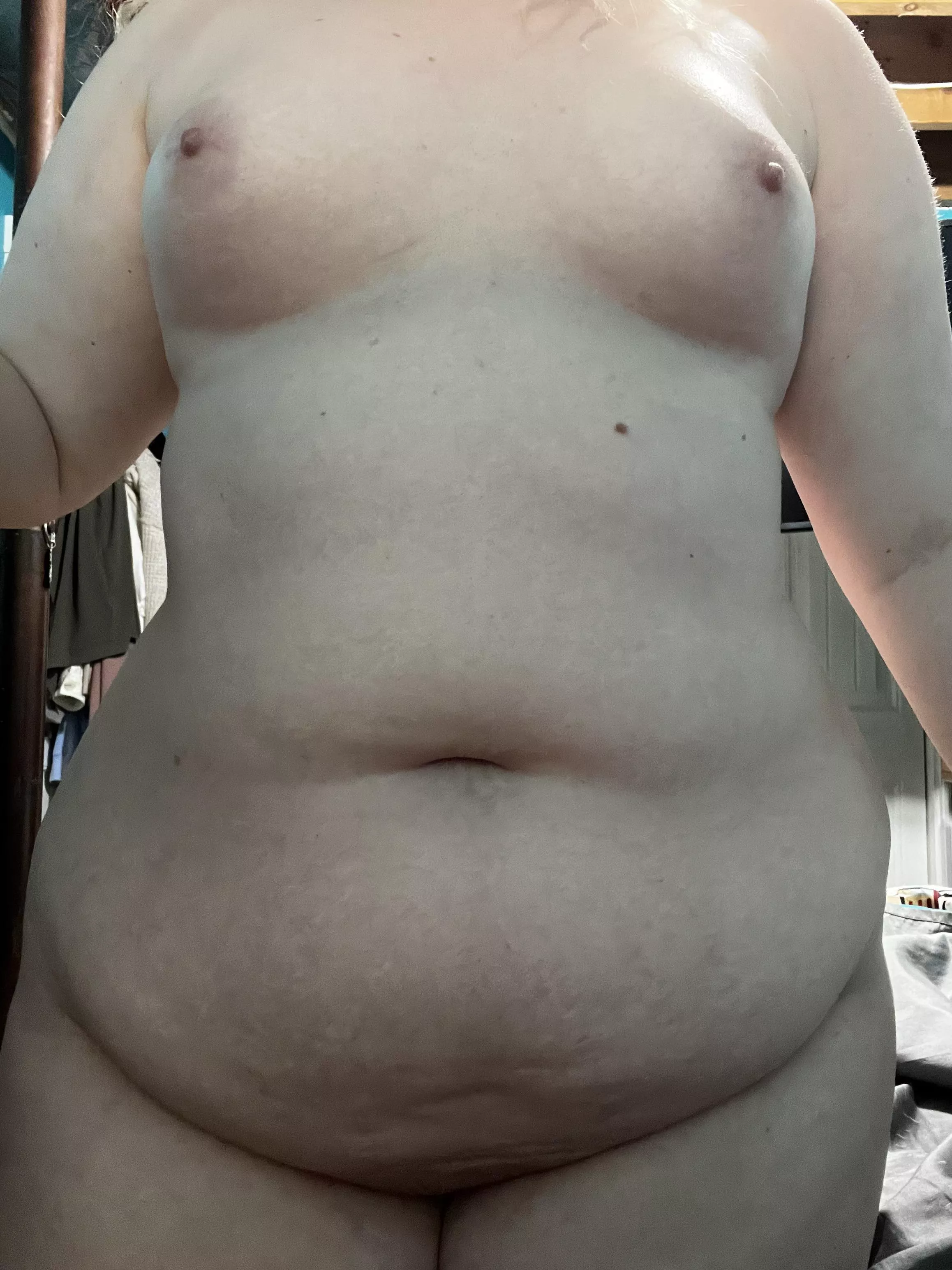 Perky ✅ chubby ✅