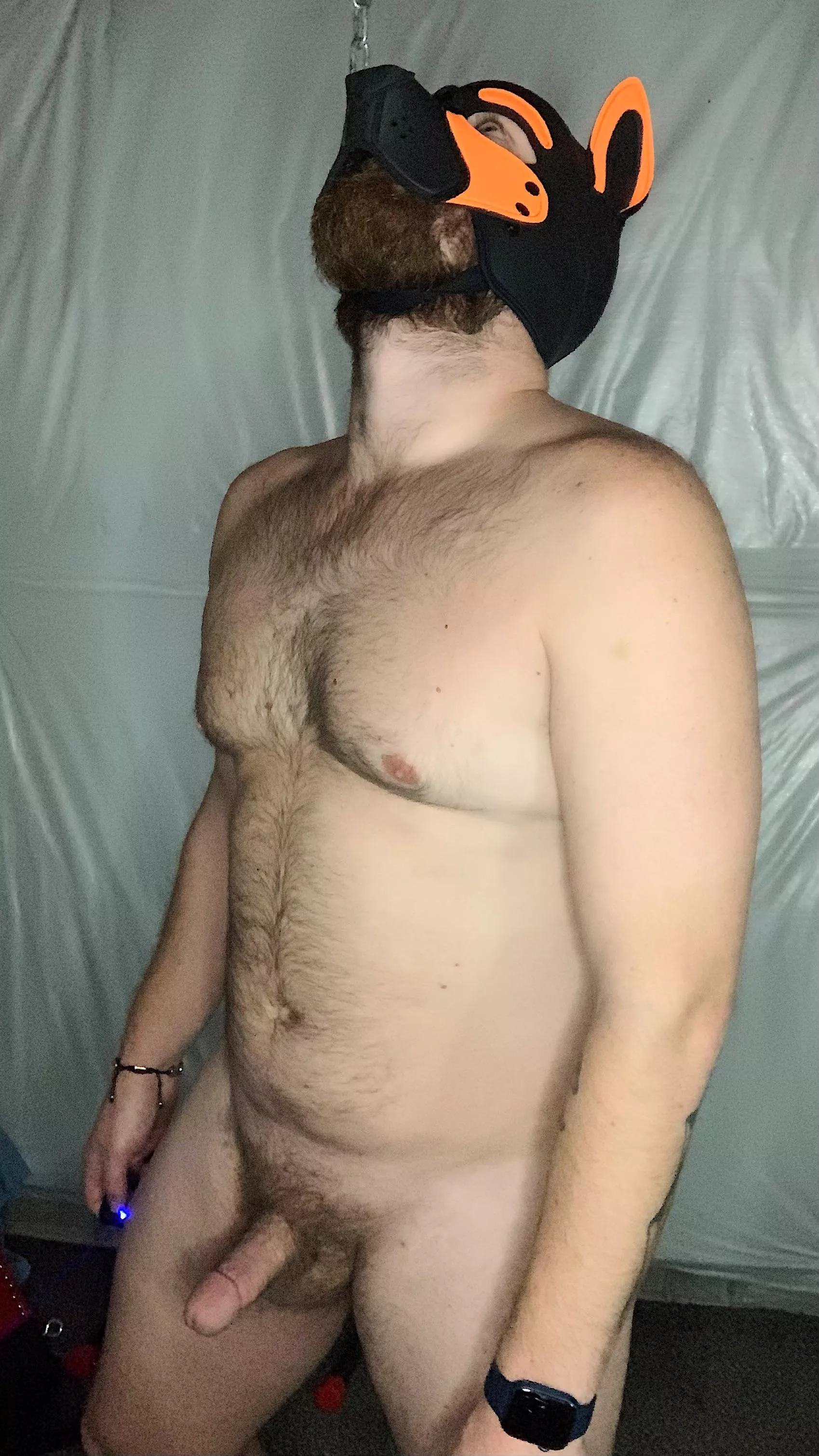 Some pup fun tonight 🐾