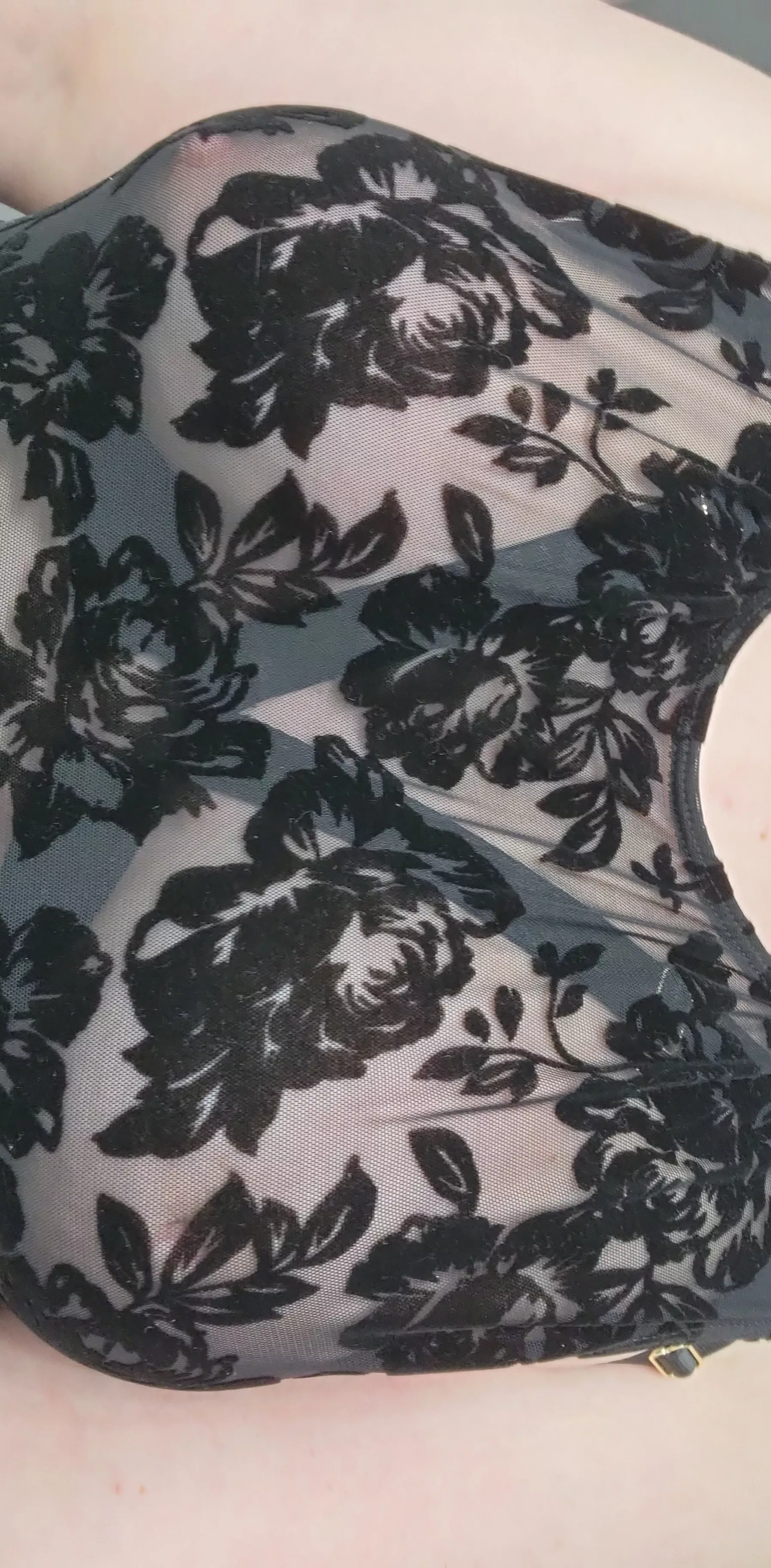 somebody free these and eat my pussy