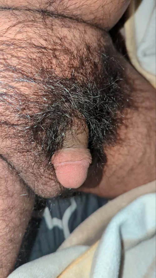 trim time or keep it growing?