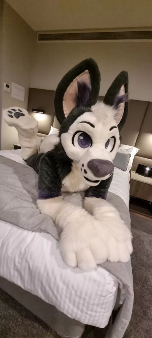 what are you waiting for? come cuddle!